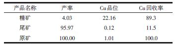 铜硫矿选矿工艺的新工艺
