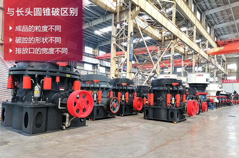 短头圆锥江南在线手机版（大中国区）与长头区别