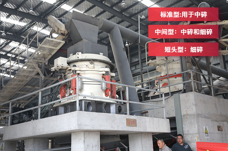 圆锥江南在线手机版（大中国区）分为标准型中间型和短头型